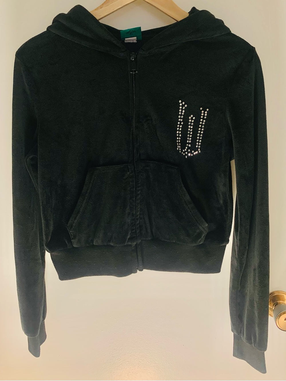Wicked black Velour Hoodie with Rhinestone Accents whimsigoth
